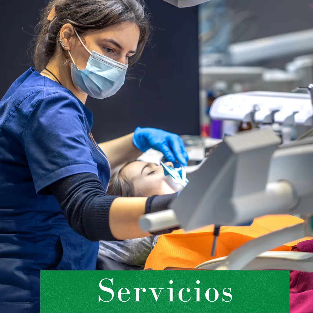 Servicios